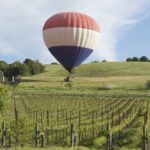 Balloon landing on hill behind vineyard