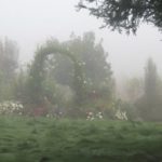 Garden On Foggy Morning