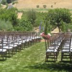 Chairs setup on garden lawn