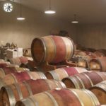 barrels in wine cellar